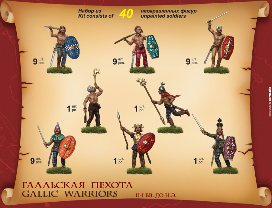 8012 Гальская пехота Звезда