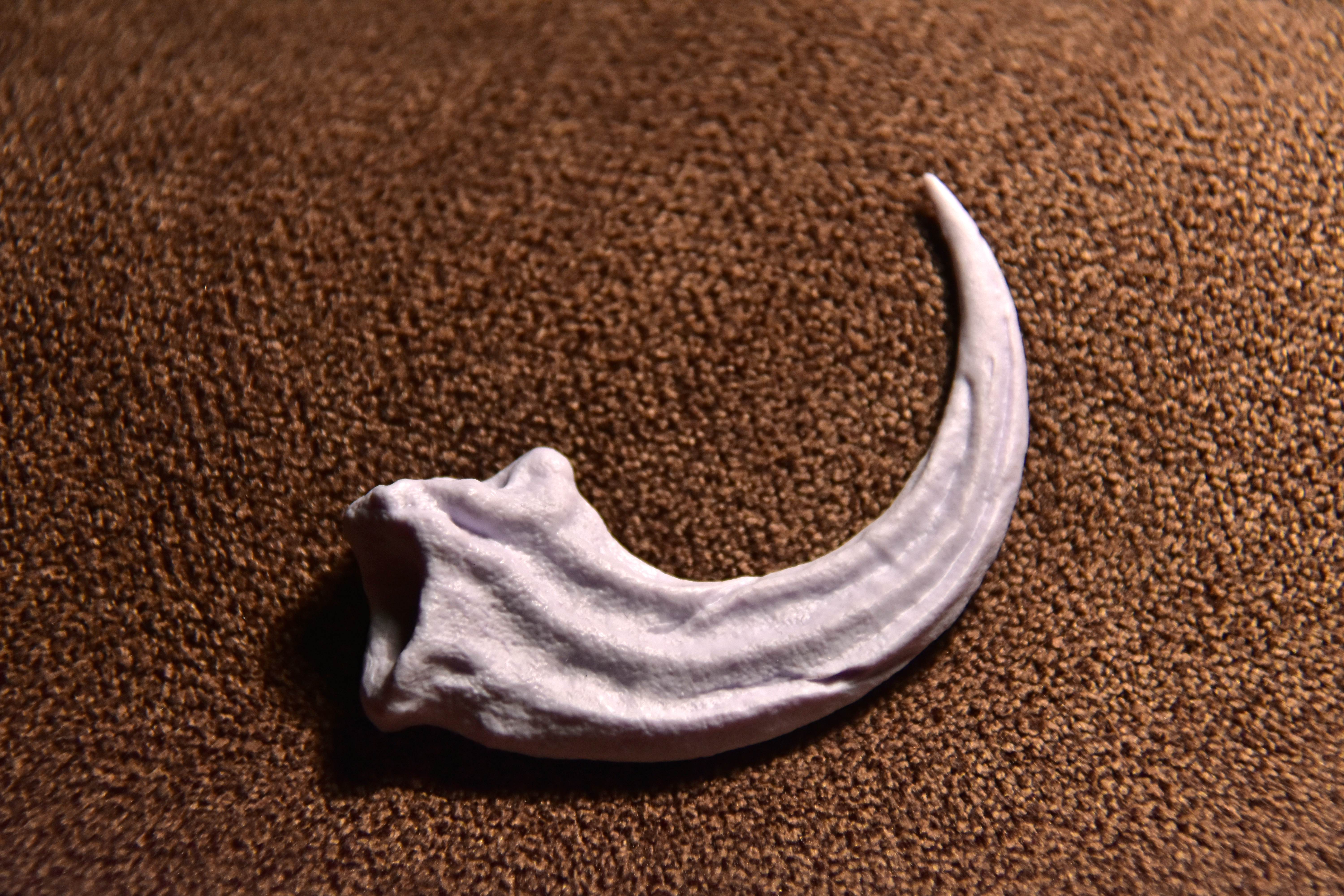 DINO10004 Коготь раптора