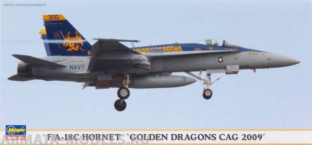 01903 Самолет F/A-18C HORNET GOLDEN DRAGONS CAG 2009 Hasegawa