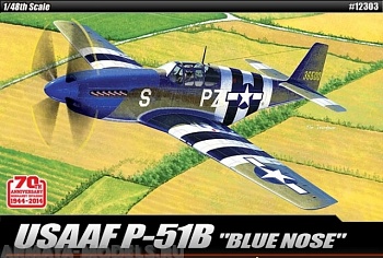 12303 Самолет  USAAF P-51B Anniv. 70 Normandy invasion 1944